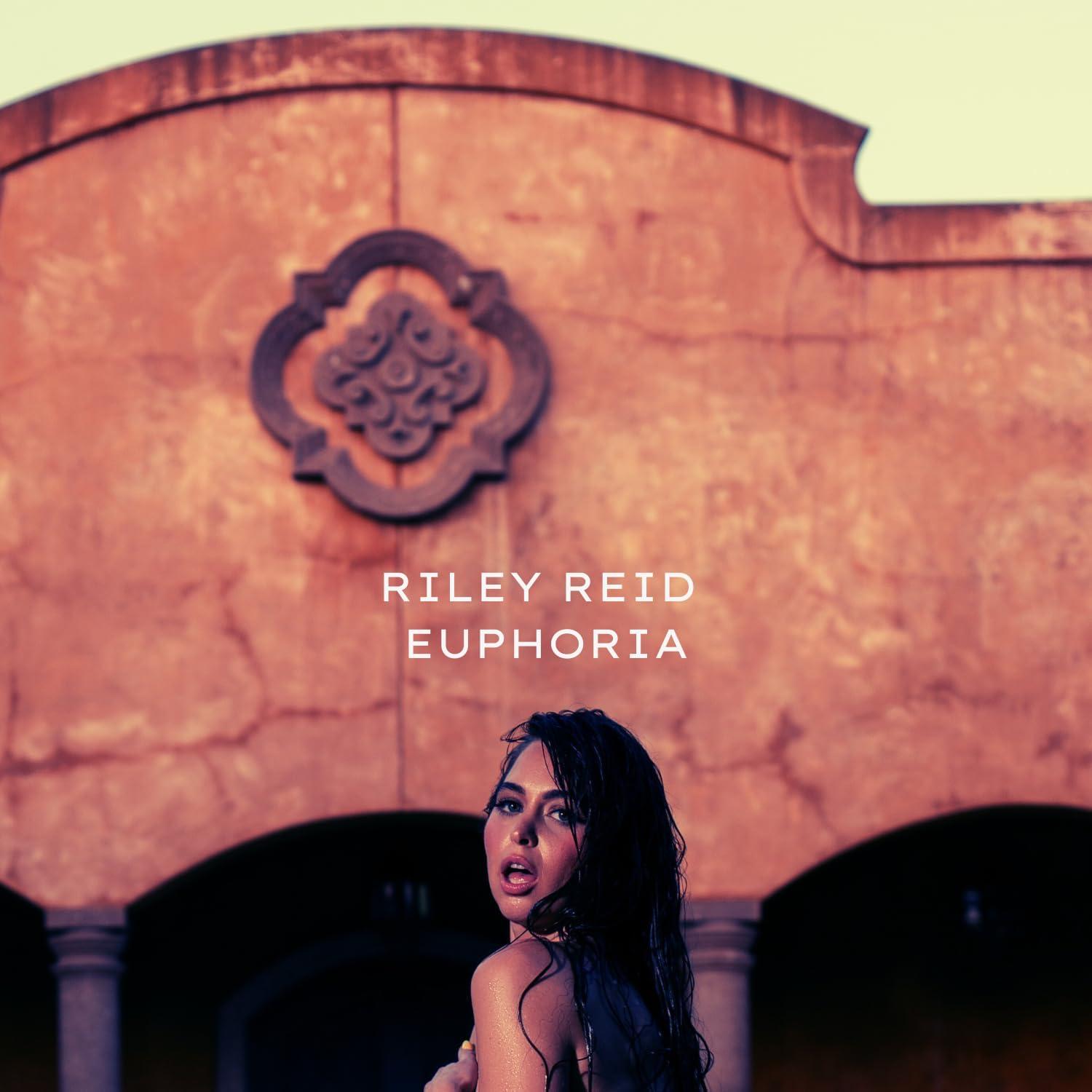 imageFleshlight Girls Riley Reid Euphoria Realistic Male Sex Toy